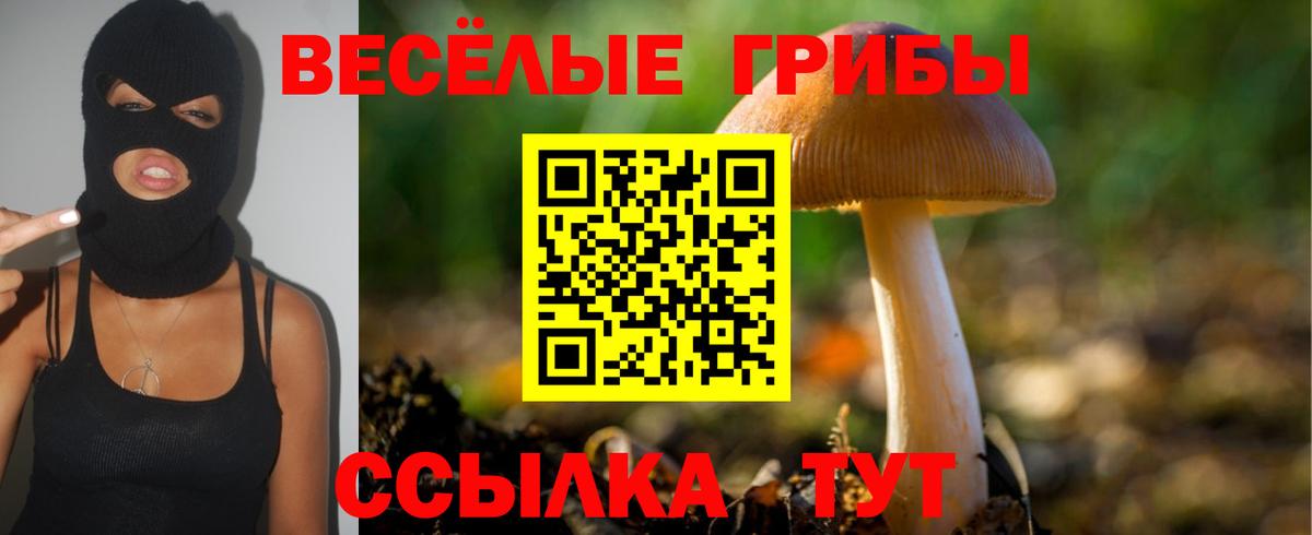 где купить наркоту  Вход с VPN  Чистополь  Псилоцибиновые грибы ЛСД 